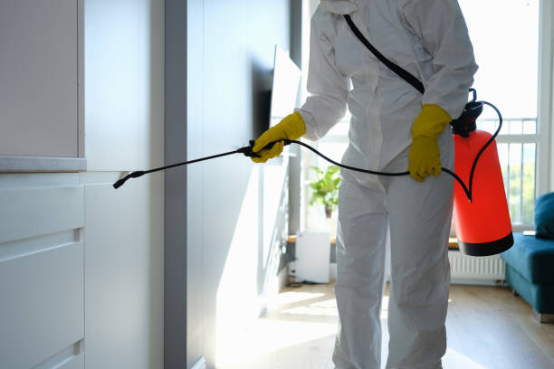 Best Residential Mold Removal  in Westphalia, MD