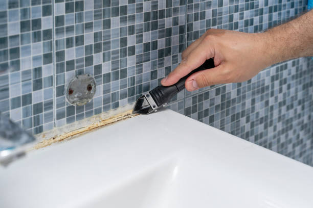 Best Residential Mold Removal  in Westphalia, MD
