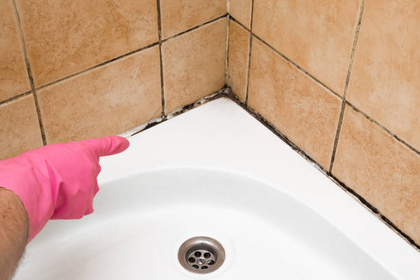 Best Emergency Mold Removal  in Westphalia, MD